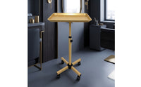 Salon Tray Cart Space Saving Service Cart Stable Trolley for Hair Stylists, Nail Technicians, Beauty Parlors