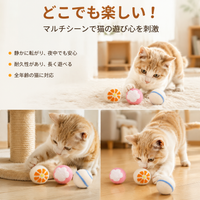 pet toy balls