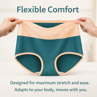 Postpartum Underwear High Waisted Briefs for Women, Plus Size Ladies Full Coverage with Tummy Control, Gusset C Section Support