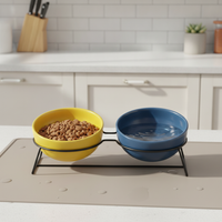 Macaron Ceramic Pet Bowl Set with Elevated Stand for Cats and Dogs, Anti-Vomit and Whisker Fatigue Design