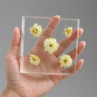 High Transparency Display Block, Plant Interior Cube for Photography