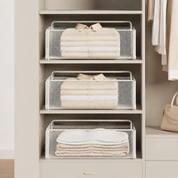 Pull Out Wardrobe Wire Basket, Small Metal Powder-Coated Closet Basket Drawer, Telescopic Sliding Cabinet Organiser for Clothing Storage