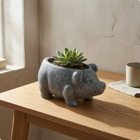 Piggy Planter Open Top Pig-Shaped Planter Small Plants