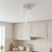 Photoelectric Fire Detection Device Easy Installation Standalone Fire Alarm Battery Operated Smoke Monitor High Sensitivity