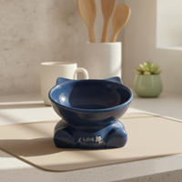 Ceramic Tilted Pet Bowl for Cats and Small Dogs, Anti-Tip Design, Food and Water Dish for Kittens and Puppies