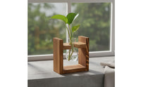 Retro Design Tabletop Glass Planter Wooden Stand Creative Gift Glass Bulb Planter Easy Water Change House Decoration for Bedroom