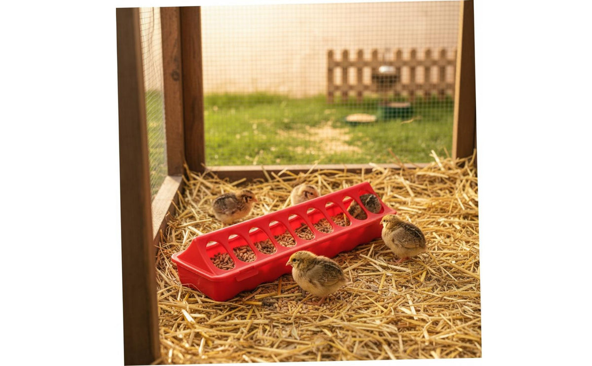 Quail Feeding Trough Easy to Clean Chicken Feeder and Waterer Set No Waste Design Fowl Water Dispenser and Feeder for Quails, Hatchery, Backyard