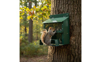 Squirrel Picnic Table Feeder Metal Squirrel Feeder Clear Front Outdoor Supply for Tree, Yard