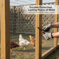 Galvanized Welded Wire Mesh for Fencing and Construction