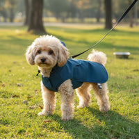 Lightweight Clear Hood Dog Raincoat Leash Opening Hole Waterproof Dog Slicker Easy to Clean Waterproof Pet Poncho Portable for Small Dogs, Outdoor Walks, Rainy Days