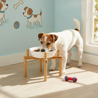 Ceramic Dog Bowl Simple to Clean Elevated Slow Feeder Dog Bowl Set Raised Pet Feeding Dish with Stand for Small Dogs, Cats
