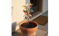 Butterfly Garden Stake Colorful Butterfly-Shaped Stake Yard Art Ornament Rust-Resistant for Flower Pot