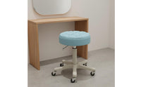 Back Support Height Adjustable Salon Stool Easy to Clean Backrest Rolling Stool Heavy Duty Round Salon Chair for Hair Stylists, Nail Technicians, Barbers