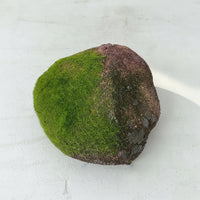 Artificial Landscape Rock Looking Faux Covered Stone Realistic Ornament for Gardeners