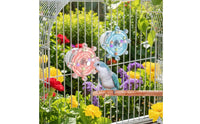 Healthy Chewing Exercise Parrot Foraging Wheel Easy Installation Bird Enclosure Rotating Wheel for Parrots, Small Birds