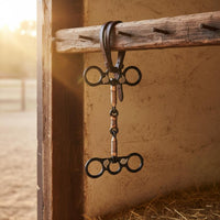 Western Horse Equestrian Control Piece Resistant Cowboy Horse Easy-Mouthed to Clean Equestrian Gear for Trainers, Riding
