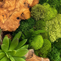 moss art wall decor