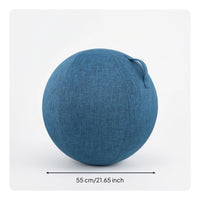 Fitness Ball Cover with Handle Long-Lasting Fitness Ball Cover Skin-Friendly Wear-Resistant for Yogis, Pilates, Home Gym