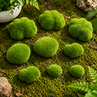 decorative moss rocks