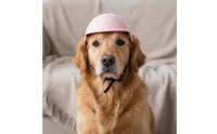 Long-Lasting Dog Feline Riding Helmet Lightweight Mini Pet Biker Helmet Shockproof for Outdoor