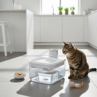 2.5 L Multiple Filtration Feline Water Fountain Ultra Quiet Sensor Water Dispenser for Cats