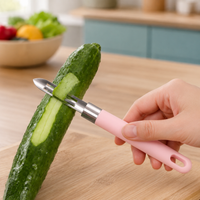 Stainless Steel Multifunction Peeler for Potatoes, Fruits & Vegetables