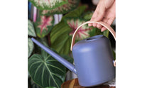 Watering Can Large Capacity Long Spout Watering Can Easy to Pour Plant Tool for, Indoor Plants