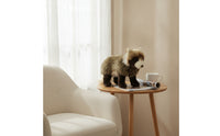 Raccoon Dog Stuffed Toy Soft Stuffed Raccoon Dog Soft-Furred Cuddly for Children, Nursery, Desk