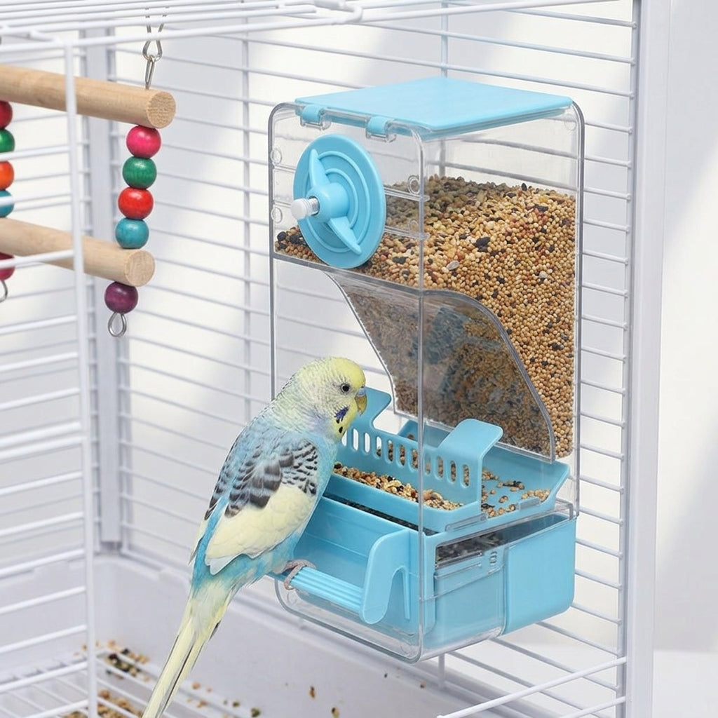 Automatic Timed Avian Feeder and Avian Feeders, Husk Separation Feeder for Parakeet and Small Avian Species, Anti-Scatter Design with Removable Base