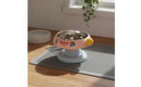 Anti-Tip Stainless Steel Cat Bowl Non-Slip Base Elevated Cat Bowl Tilted Design Raised Pet Feeder Easy to Clean for Flat-Faced Cats, Senior Pets