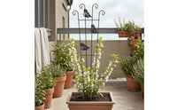 Tapered Frame Butterfly Trellis Curled Top Metal Plant Trellis Tall Decorative Vine Support Lightweight