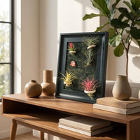 Hanging Plant Frame, Black Tillandsia Holder, Square MDF Plant Frame, Retro Wall Decor for Office & Bedroom