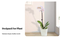 Flower Shaping Stake Shaping Frame Rust-Resistant Floral Variety Support Stake Rust Resistant Floral Variety Support for Gardeners, Homeowners