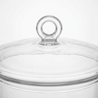 Glass Cooking Pots with Lid, High Borosilicate Glass Stockpot, Double Ear Handles, Universal Stovetop Compatible, Modern Minimalist Design