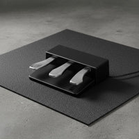 Universal Compatibility Keyboard Sustain Pedal Unit Metal Pedals Musical Instrument Accessory for Home Studio, Stage Performance