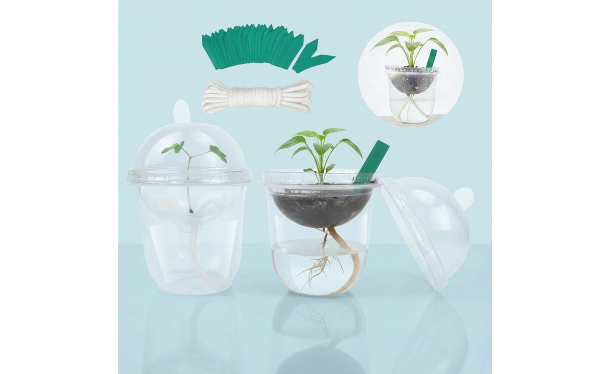 30 Pieces Self-Watering Seedling Cup with Dome Transparent for Teachers