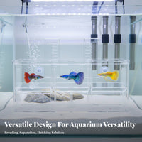 Guppy Breeding Fish Habitat High Clarity Aquatic Creature Hatchery Aquatic Creature Fry Separation Container Good Water