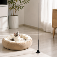 cat teaser wands