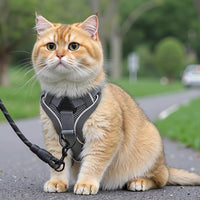 Cat Vest Harness with Reflective Strips, Breathable Mesh Vest Style Harness for Training, Kitten Walking Harness and Outdoor Cat Leash Set