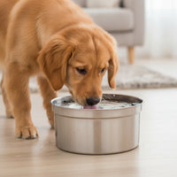 Dog Bowl with Floating Disk Anti-Slip Floating Water Bowl Removable Easy to Clean for Dogs, Home, Travel