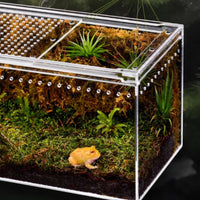 Reptile Enclosure with Attractive Sliding Lid Ventilated for Desktop, Hobbyists
