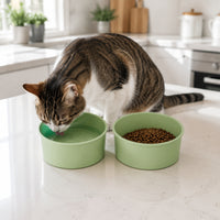 Anti-Tip Double Cat Bowl Set Large Caliber Double Pet Bowl Set Easy to Clean Double Pet Dish Non-Slip for Cats, Small Dogs