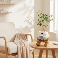 Cute Planter with Rocking Chair Base Whimsical Rocking Chair Planter Playful Succulent Pot Happy for Office, Shelf