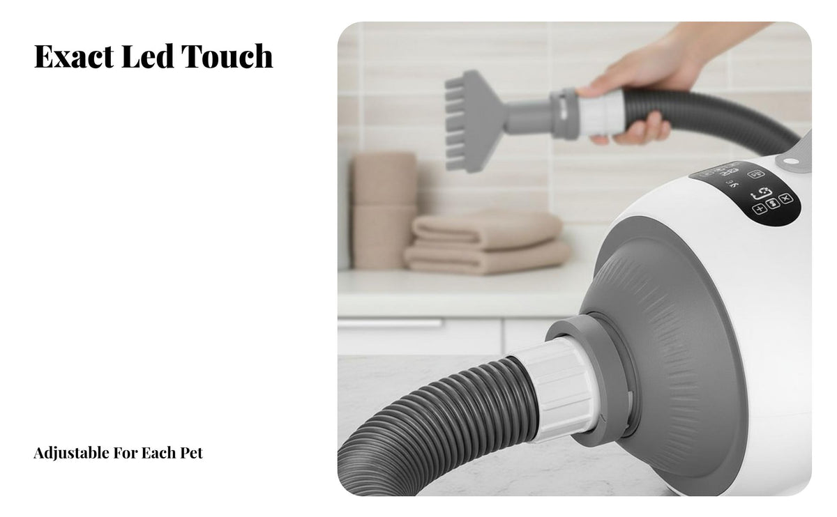Adjustable Temperature Pet Hair Dryer Quick Drying High Velocity Pet Dryer Low Noise Dog Grooming Blower 2100W Power for Professional Groomers