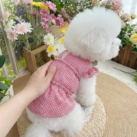 pet dress