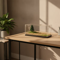 Display Case with Diorama Transparent Model Car Display Case Dust-Resistant Showcase for Hobbyists, Desk, Office