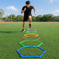 agility ladder