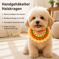 pet collars
