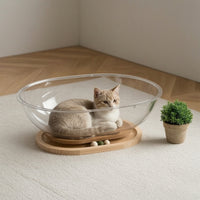 Space Capsule Cat Bed Transparent Cat Bed with Toy Stylish Nest for Kittens