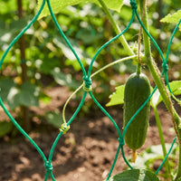 Plant Climbing Net for Vines, Fruits, and Vegetables - Durable Trellis Netting